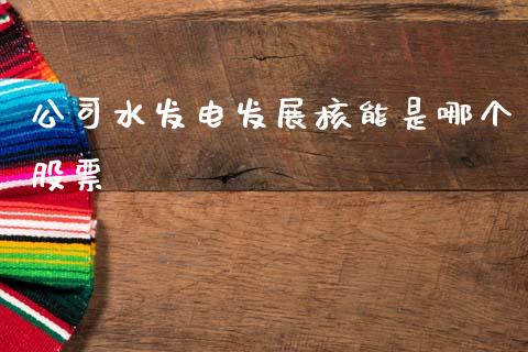公司水发电发展核能是哪个股票_https://www.fcdydaikuan.com_德指期货直播_第1张