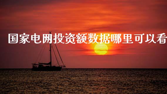 国家电网投资额数据哪里可以看_https://www.fcdydaikuan.com_恒生指数直播室_第1张