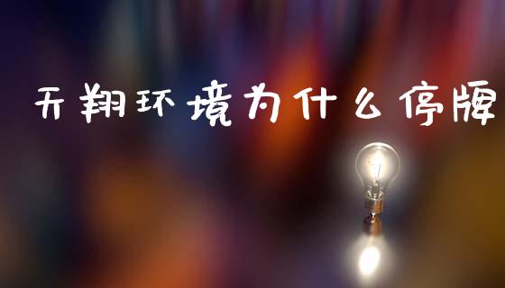 天翔环境为什么停牌_https://www.fcdydaikuan.com_德指期货直播_第1张