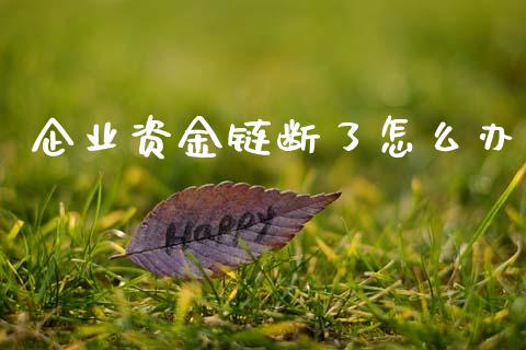 企业资金链断了怎么办_https://www.fcdydaikuan.com_德指期货直播_第1张