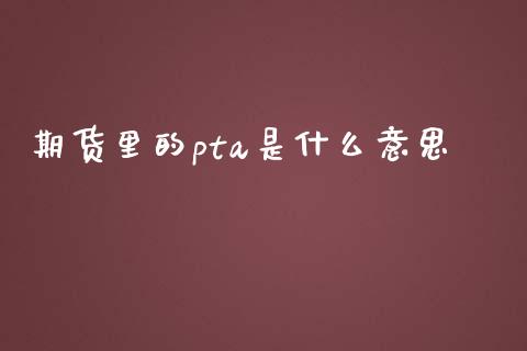 期货里的pta是什么意思_https://www.fcdydaikuan.com_恒生指数直播室_第1张