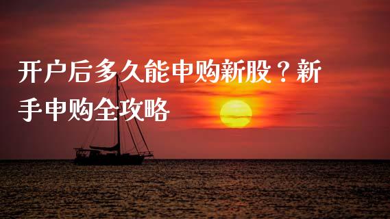 开户后多久能申购新股？新手申购全攻略_https://www.fcdydaikuan.com_德指期货直播_第1张
