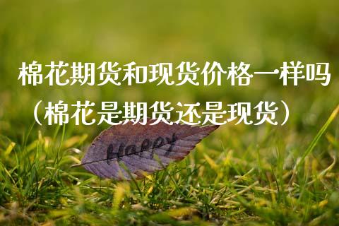 棉花期货和现货价格一样吗（棉花是期货还是现货）_https://www.fcdydaikuan.com_德指期货直播_第1张