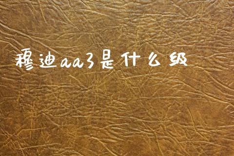 穆迪aa3是什么级_https://www.fcdydaikuan.com_德指期货直播_第1张