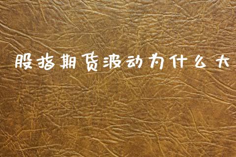 股指期货波动为什么大_https://www.fcdydaikuan.com_恒指期货直播_第1张