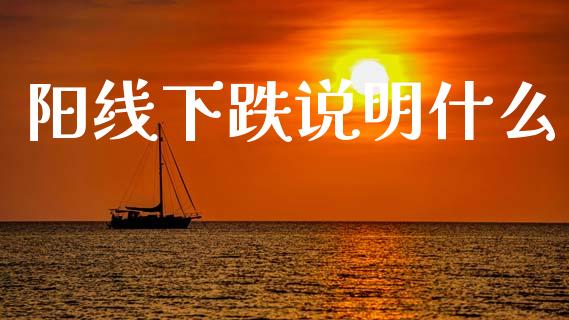 阳线下跌说明什么_https://www.fcdydaikuan.com_黄金期货直播_第1张
