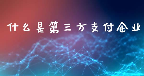 什么是第三方支付企业_https://www.fcdydaikuan.com_恒指期货直播_第1张