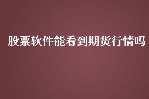 股票软件能看到期货行情吗_https://www.fcdydaikuan.com_黄金期货直播_第1张