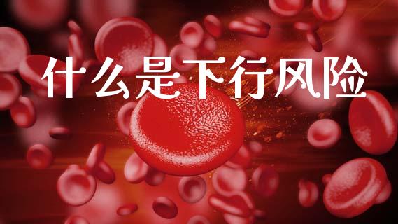 什么是下行风险_https://www.fcdydaikuan.com_德指期货直播_第1张