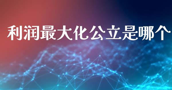 利润最大化公立是哪个_https://www.fcdydaikuan.com_黄金期货直播_第1张