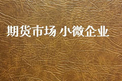 期货市场 小微企业_https://www.fcdydaikuan.com_恒指期货直播_第1张