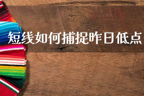 短线如何捕捉昨日低点_https://www.fcdydaikuan.com_黄金期货直播_第1张