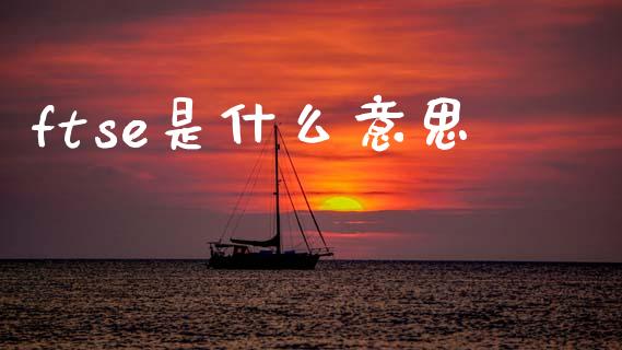 ftse是什么意思_https://www.fcdydaikuan.com_德指期货直播_第1张