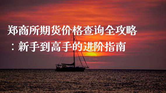 郑商所期货价格查询全攻略：新手到高手的进阶指南_https://www.fcdydaikuan.com_德指期货直播_第1张