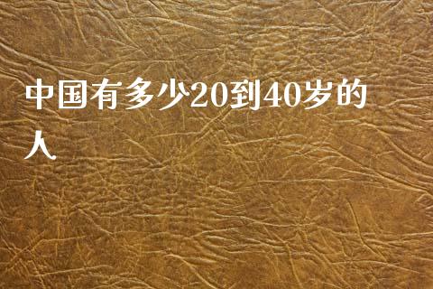 中国有多少20到40岁的人_https://www.fcdydaikuan.com_黄金期货直播_第1张