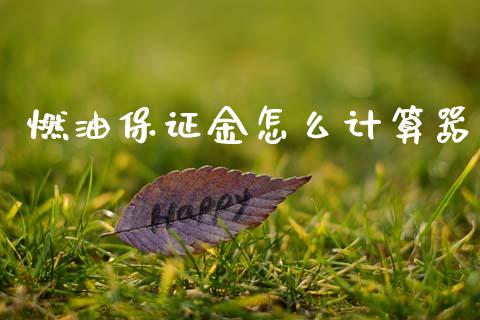 燃油保证金怎么计算器_https://www.fcdydaikuan.com_德指期货直播_第1张