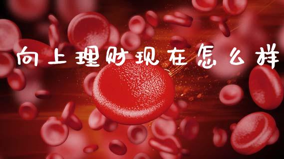 向上理财现在怎么样_https://www.fcdydaikuan.com_恒生指数直播室_第1张