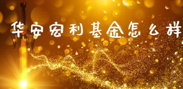 华安宏利基金怎么样_https://www.fcdydaikuan.com_黄金期货直播_第1张