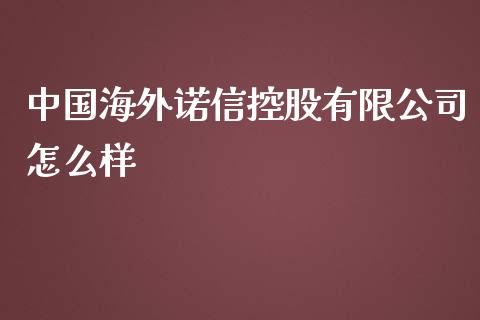 中国海外诺信控股有限公司怎么样_https://www.fcdydaikuan.com_恒生指数直播室_第1张