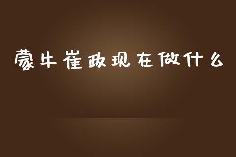 蒙牛崔政现在做什么_https://www.fcdydaikuan.com_恒生指数直播室_第1张