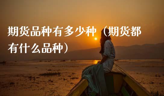 期货品种有多少种（期货都有什么品种）_https://www.fcdydaikuan.com_黄金期货直播_第1张