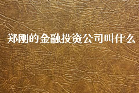 郑刚的金融投资公司叫什么_https://www.fcdydaikuan.com_德指期货直播_第1张