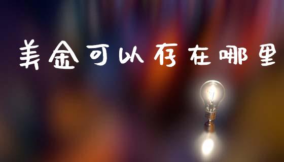 美金可以存在哪里_https://www.fcdydaikuan.com_恒生指数直播室_第1张
