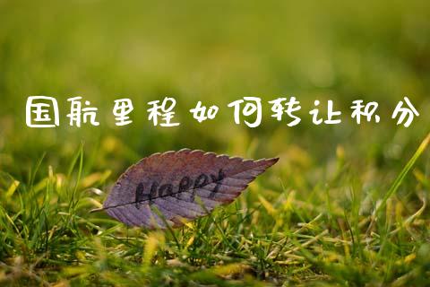 国航里程如何转让积分_https://www.fcdydaikuan.com_黄金期货直播_第1张