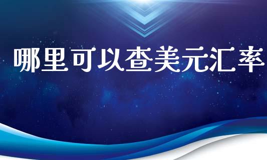 哪里可以查美元汇率_https://www.fcdydaikuan.com_德指期货直播_第1张