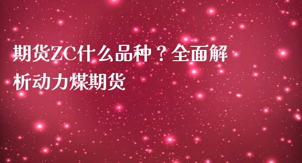 期货ZC什么品种？全面解析动力煤期货_https://www.fcdydaikuan.com_恒指期货直播_第1张