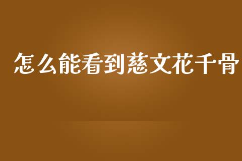 怎么能看到慈文花千骨_https://www.fcdydaikuan.com_德指期货直播_第1张