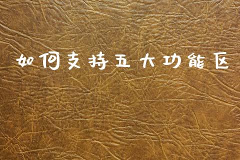 如何支持五大功能区_https://www.fcdydaikuan.com_黄金期货直播_第1张