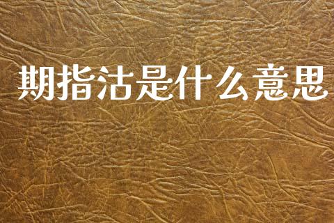 期指沽是什么意思_https://www.fcdydaikuan.com_德指期货直播_第1张