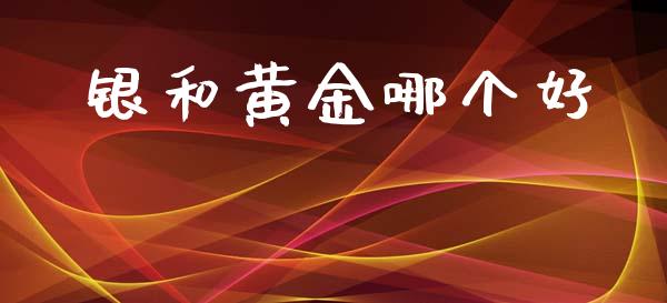 银和黄金哪个好_https://www.fcdydaikuan.com_恒指期货直播_第1张