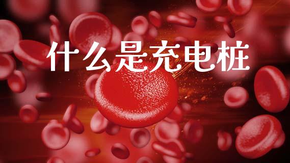 什么是充电桩_https://www.fcdydaikuan.com_黄金期货直播_第1张