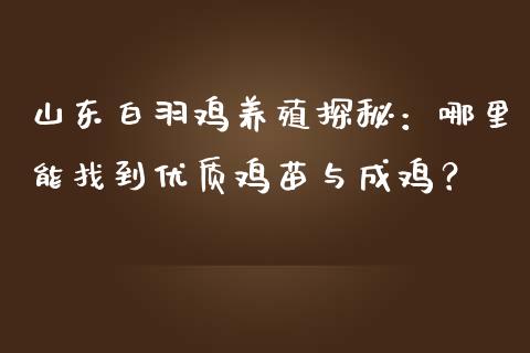 山东白羽鸡养殖探秘：哪里能找到优质鸡苗与成鸡？_https://www.fcdydaikuan.com_黄金期货直播_第1张