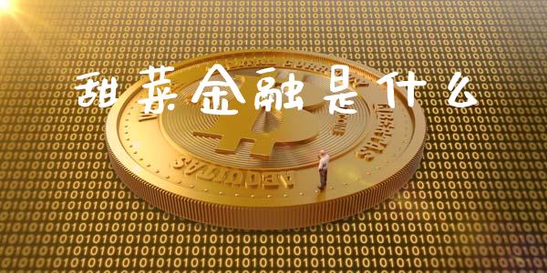 甜菜金融是什么_https://www.fcdydaikuan.com_恒指期货直播_第1张