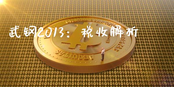 武钢2013：税收解析_https://www.fcdydaikuan.com_德指期货直播_第1张