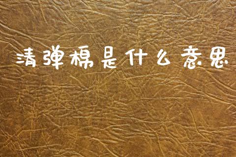 清弹棉是什么意思_https://www.fcdydaikuan.com_黄金期货直播_第1张
