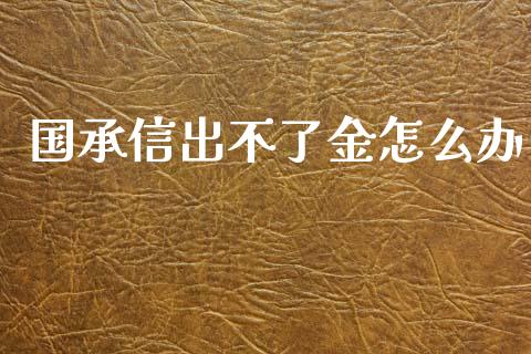 国承信出不了金怎么办_https://www.fcdydaikuan.com_恒生指数直播室_第1张