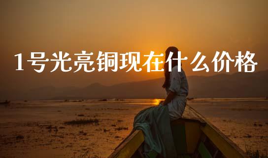 1号光亮铜现在什么价格_https://www.fcdydaikuan.com_恒指期货直播_第1张
