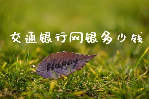 交通银行网银多少钱_https://www.fcdydaikuan.com_恒指期货直播_第1张