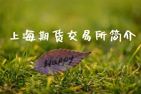 上海期货交易所简介_https://www.fcdydaikuan.com_黄金期货直播_第1张