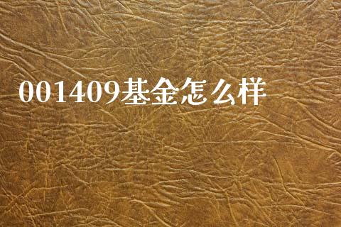 001409基金怎么样_https://www.fcdydaikuan.com_德指期货直播_第1张