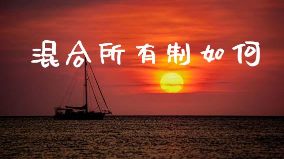 混合所有制如何_https://www.fcdydaikuan.com_黄金期货直播_第1张
