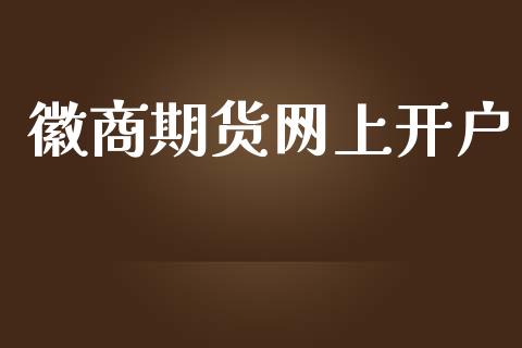 徽商期货网上开户_https://www.fcdydaikuan.com_黄金期货直播_第1张