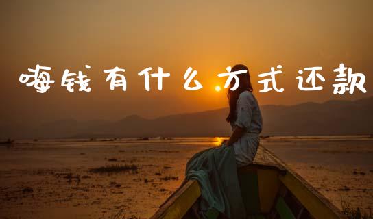 嗨钱有什么方式还款_https://www.fcdydaikuan.com_恒生指数直播室_第1张