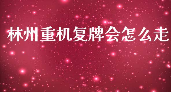 林州重机复牌会怎么走_https://www.fcdydaikuan.com_恒生指数直播室_第1张