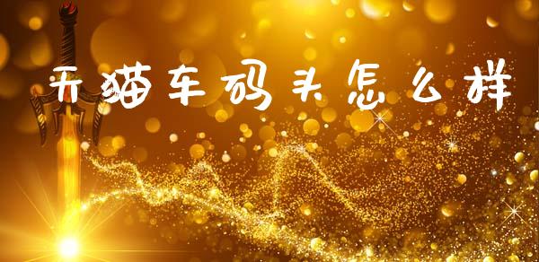 天猫车码头怎么样_https://www.fcdydaikuan.com_恒指期货直播_第1张