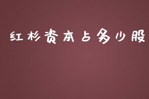红杉资本占多少股_https://www.fcdydaikuan.com_德指期货直播_第1张